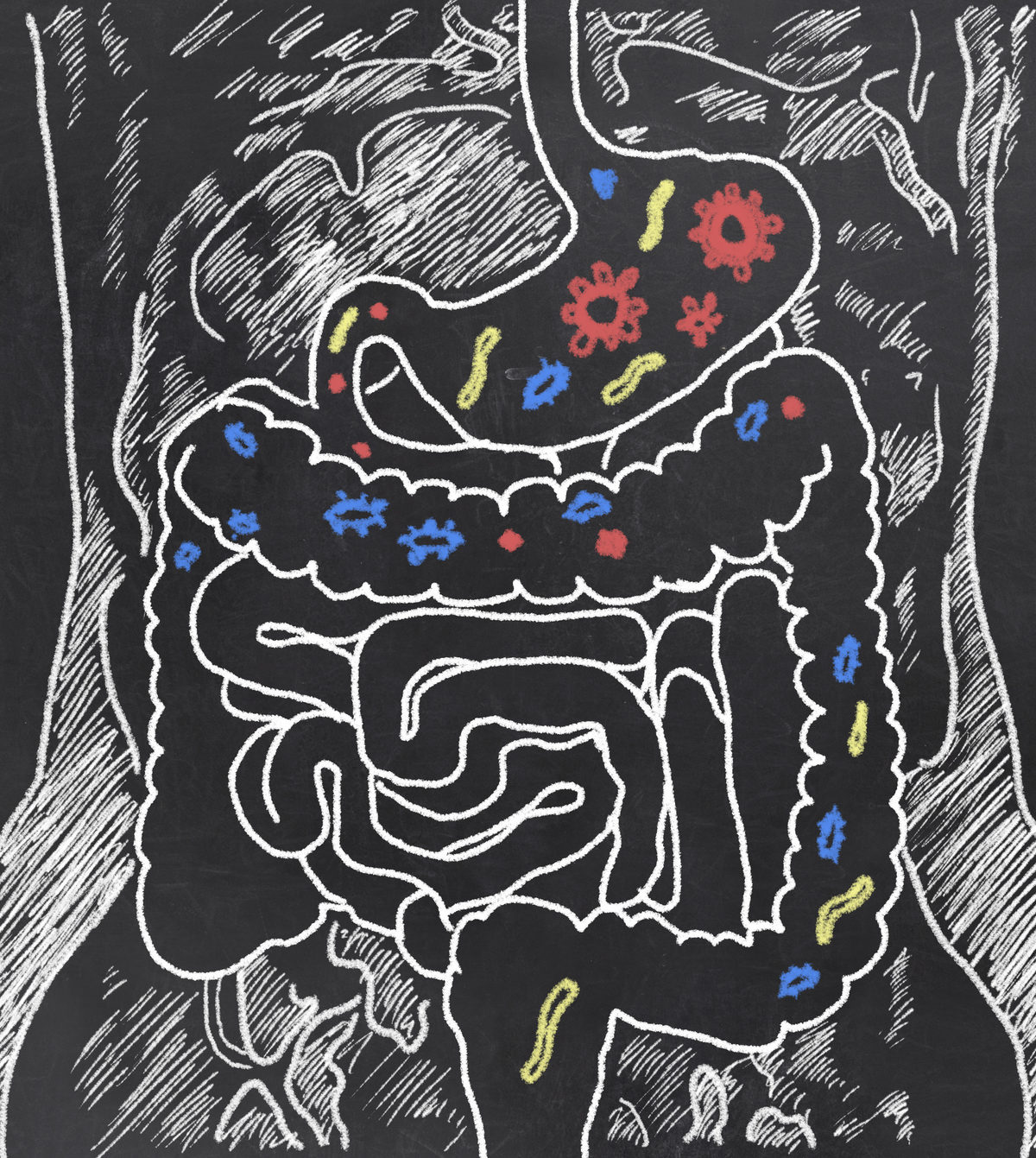 Acidité gastrique