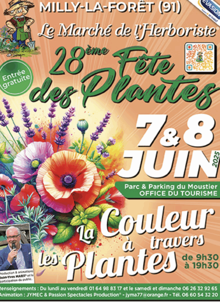 marché de l'herboriste